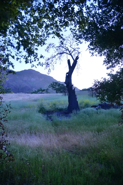 DSC_6209 (Large).JPG